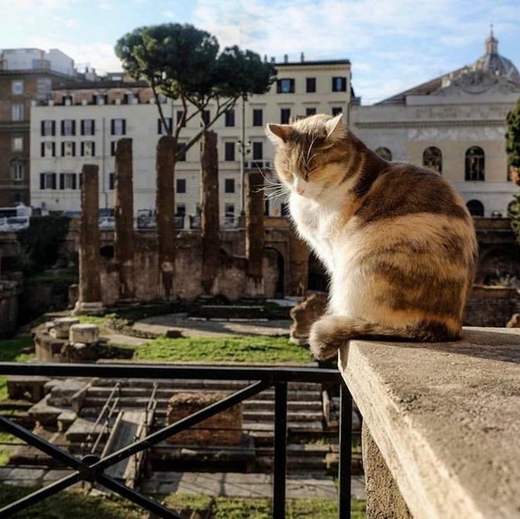 Ancient Roman Mansion ภายนอก รูปภาพ
